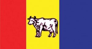 Rpp-nepal
