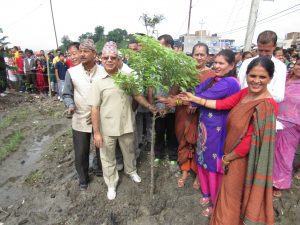 madhav nepal (1)
