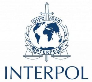 interpol-368x330
