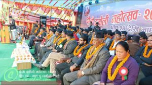 damauli