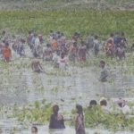 ५२ बिघामा फैलिएको तालको ५० लाख बराबरकाे माछा चोरी