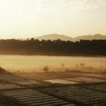 काठमाडौं उपत्यकामा यस वर्षकै अत्यधिक जाडो