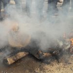 प्रदेश नम्बर दुईमा मातृभाषाको विवाद चर्कियो,राजपा र फोरमको पुत्ला दहन