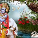 यसरी भएका थिए भगवान श्रीकृष्ण १६ हजारका पति