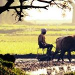 किसानको पनि अब वर्गीकरण, यसरी बाँडियो आठ तहमा