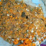 पशुपतिलगायत देशभरका शिवालयमा छरियो शतबीज