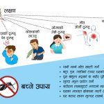 डेंगु संक्रमणमा भेटियो अनौठो तथ्य,र डेंगु स्क्रब टाइफसको लक्षण उस्तै,यस्तो छ डाक्टरको सल्लाह
