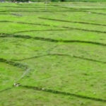 २१ जिल्लामा ९०७९ रोपनी अतिक्रमण, खोलादेखि मसानघाटसम्म कब्जा