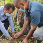 जिल्ला जिल्लामा गुर्जो रोपण अभियान चलाउँदै प्रमुख कर अधिकृत राजलवट