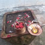 घरघरमा रोग प्रतिरोधी शक्ति दिने तुलसीको दल राखिँदै